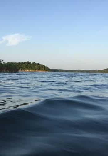 Large body of water surrounded by green trees and blue skies