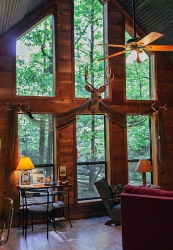 Inside of cabin with vaulted ceiling, tall wall of windows with a mounted deer head, and wooded views