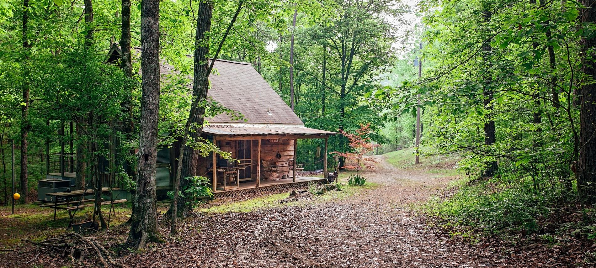 Exterior view of wood cabin surrounded by lush green trees